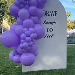 6ft Backdrop Collapsible