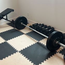 NEW HOME GYM EQUIPMENT - WEIGHTS