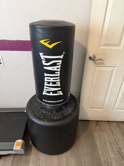 Everlast punching and kicking dummy
