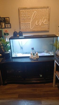55 Gallon Tank and Stand