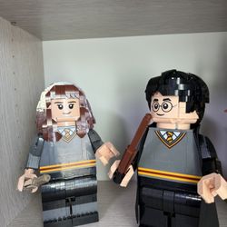 Harry Potter And Hermione Lego (Retired Set!)