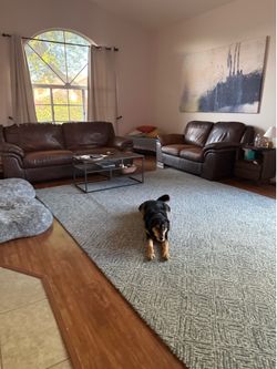 Pending pickup Ashley Sofa and love seat and Crate & Barrel Rug