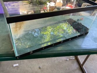 Fish tank 10gl