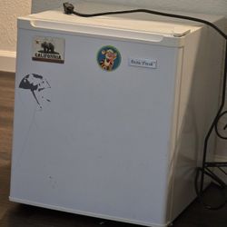 Mini Fridge 
