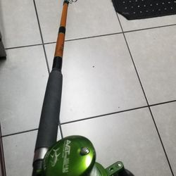 Fishing rod And Reel 