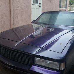 G-BODY 81 MONTE CARLO 