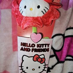 Hello Kitty Valentines Plushy 🌼 Flower