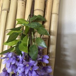Party Decorations 