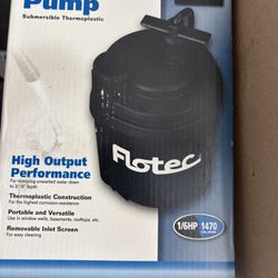 Flote utility pump