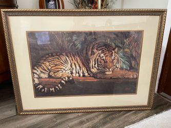 Paul Jouve Tiger Print 42” X 31” In Good Condition $30 Firm On Price