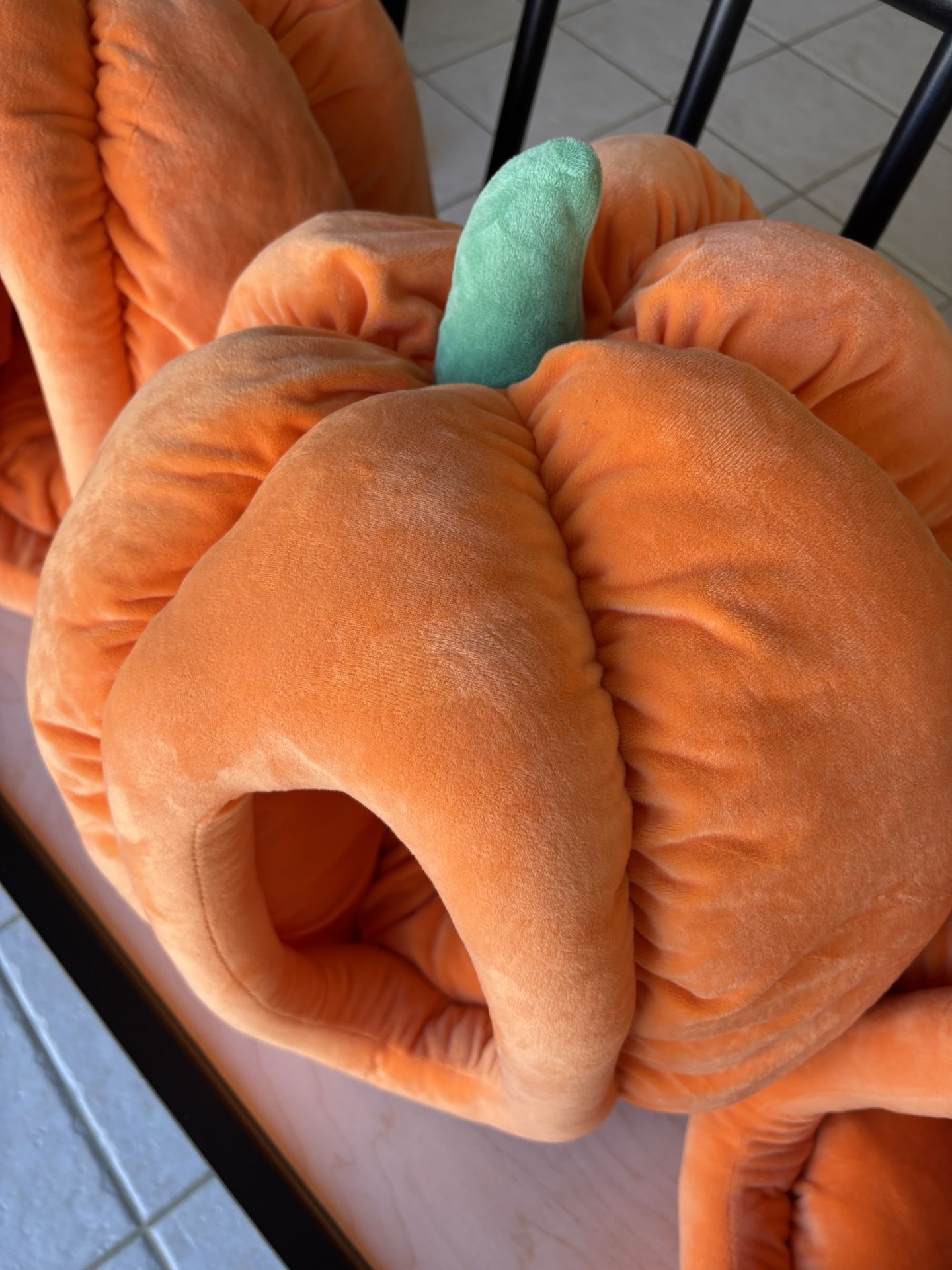 BRAND NEW Pumpkin Pet Beds