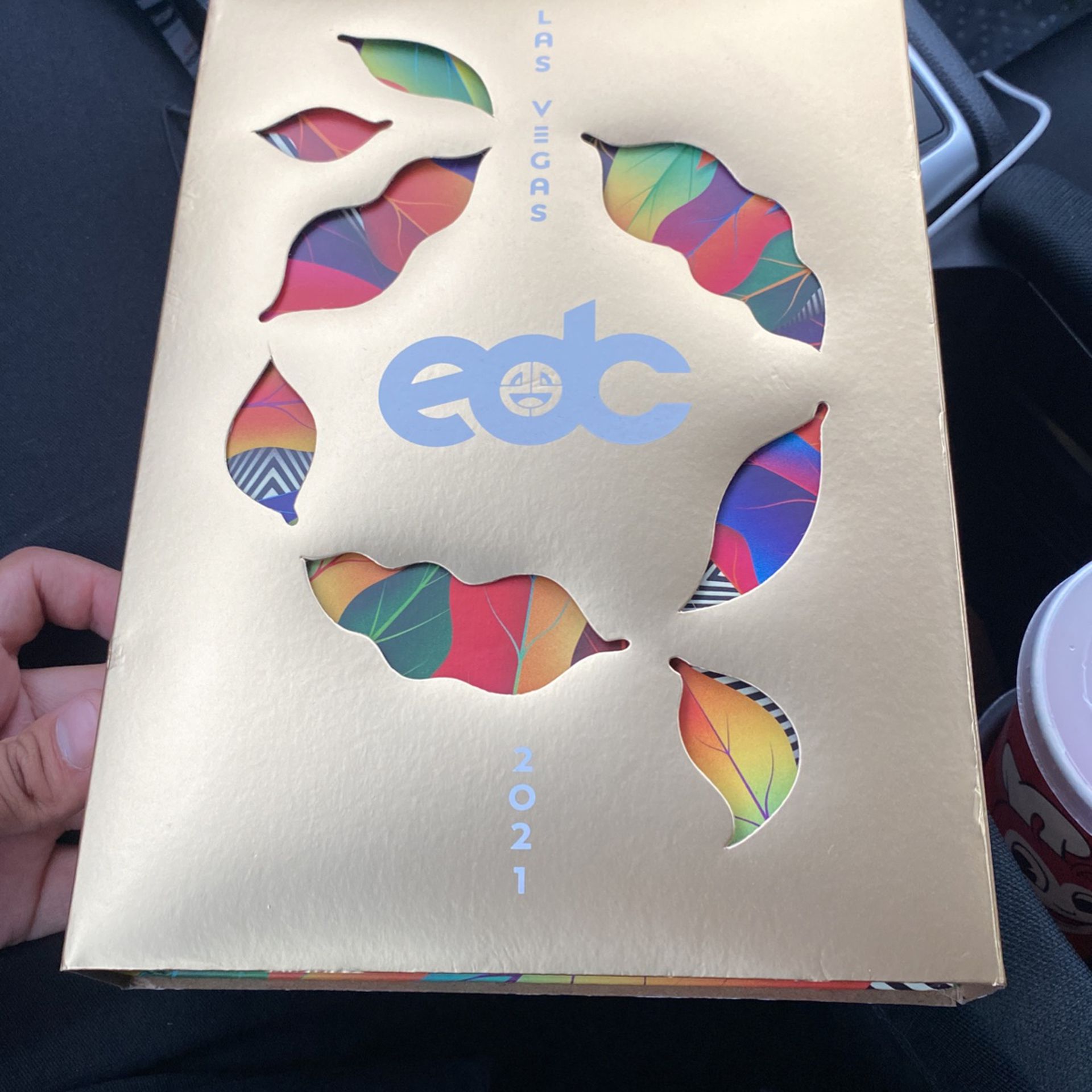 💜EDC 3 DAY GA EXPERIENCE PASS WRISTBAND 💜 (with funny story!)