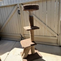 Cat climber