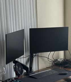 Dell Monitor and Mount