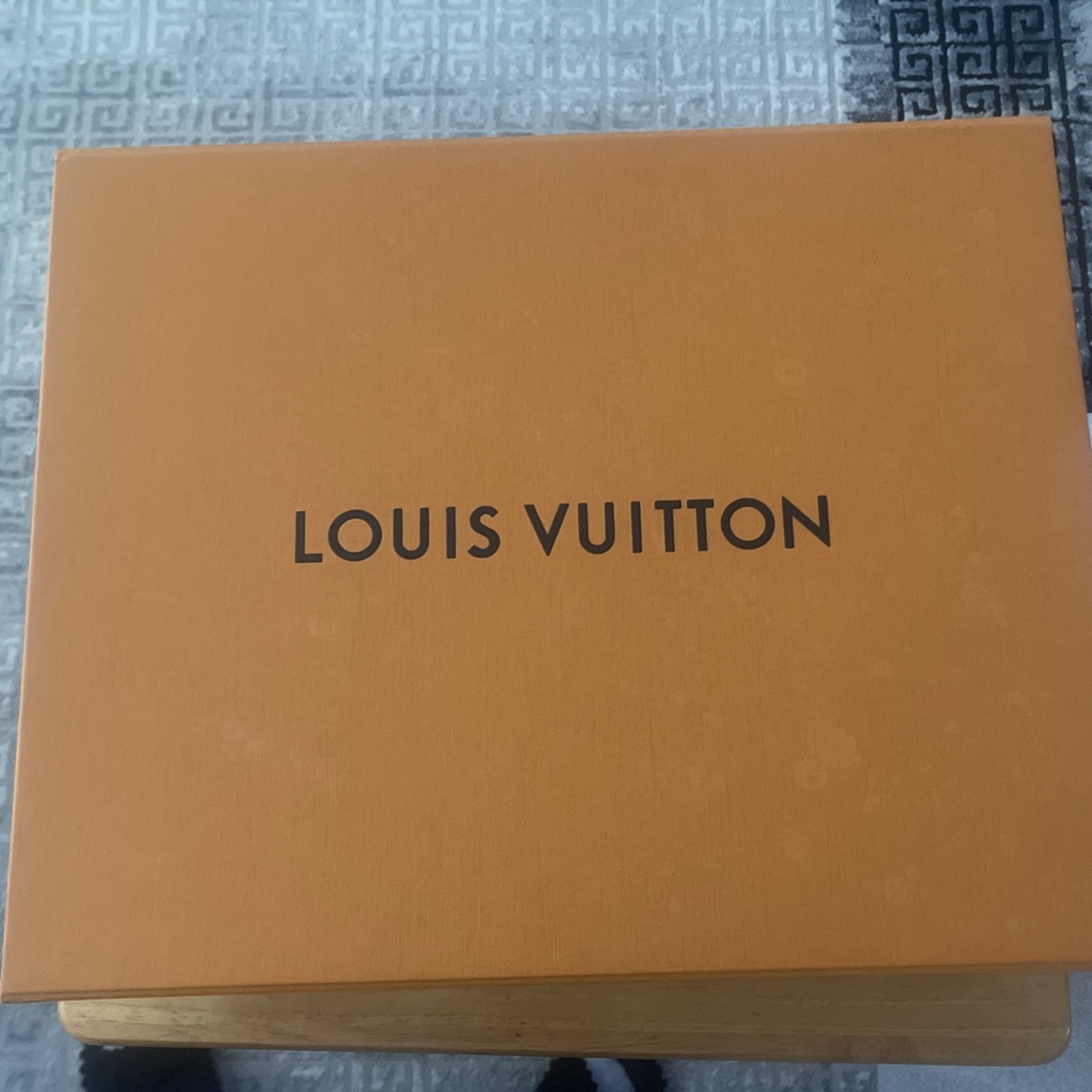 Louis Vuitton Original Handbag.