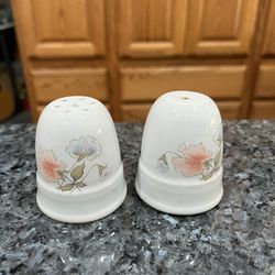 Vintage Denby Pair Of Salt And Pepper Shakers. Preowned