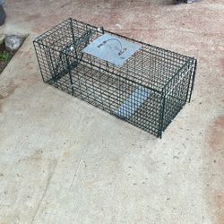 Safe Release Trap 
