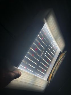 Indoor plant light