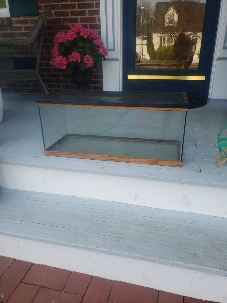 20g Tank