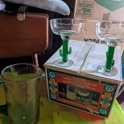 Cactus Mexican Pitcher And Glass Set