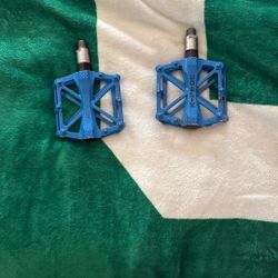 Blue Petals For Ebike 