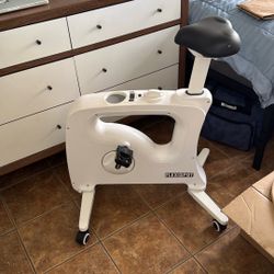 Flexispot Bicycle Desk Chair
