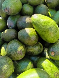 Organic avocados 😋 🥑 15x$10