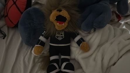 Brand New Kings bailey