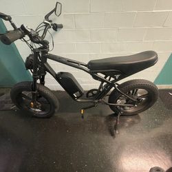 2000W Trafly DYZ E-bike