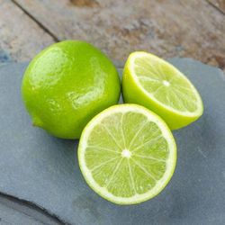 Bear Lime Seedless Trees On 15 Gallons 😃😃😃😃🌿🌿