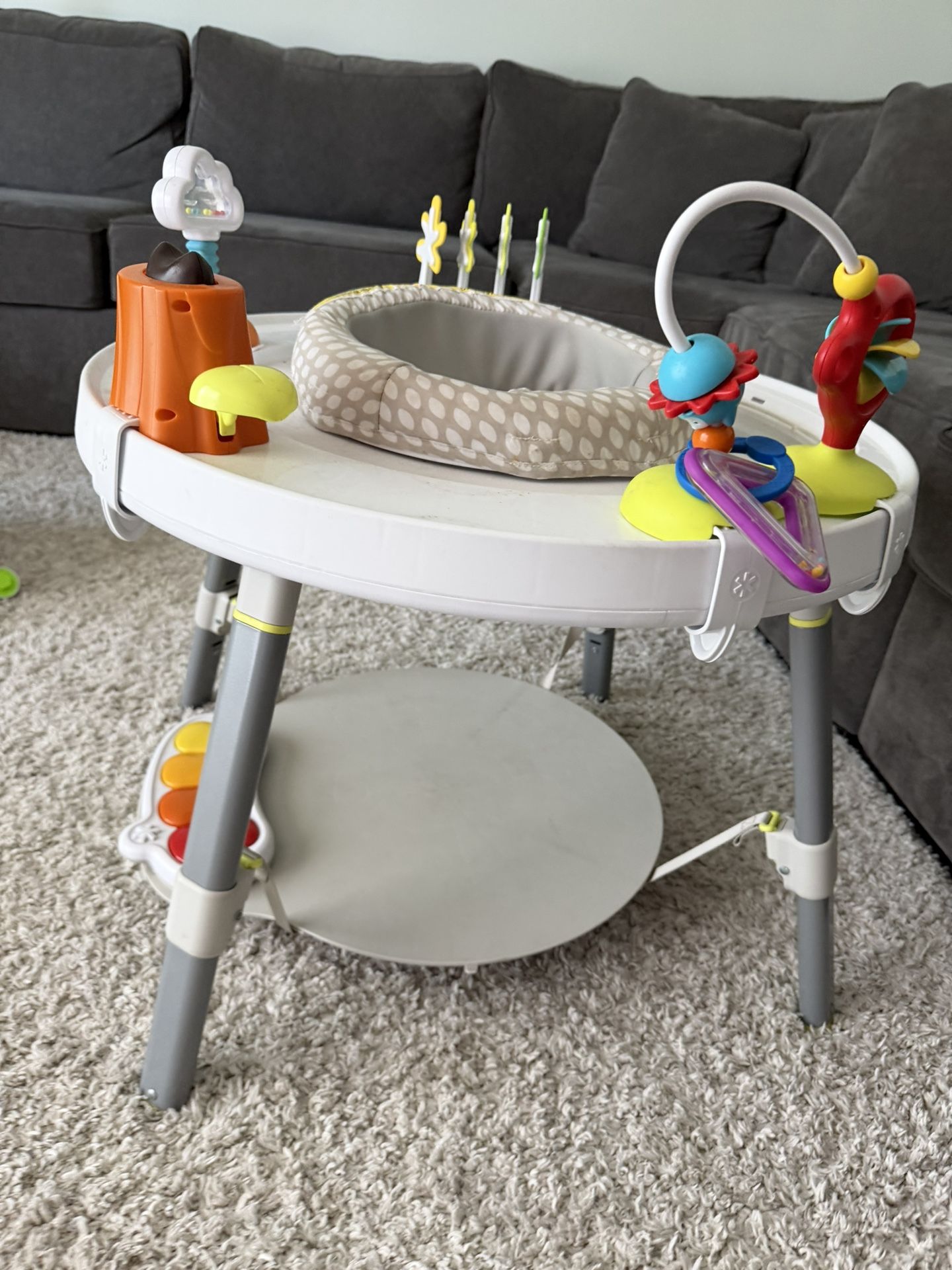 Baby Activity Center 
