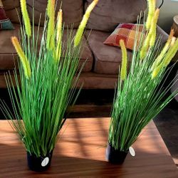 Design Tropical Artificial Plants, Set Of 2