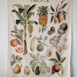Urban Outfitters Canvas Fruit Wall Art