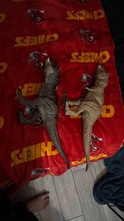 Two Tyrannosaurus rex‘s