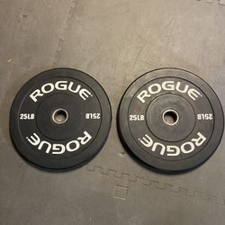 Rogue Fitness Echo Bumper Plates 25lb Pair
