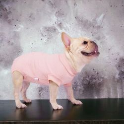 🐾 Pet Recovery Suit Onesie, NWT