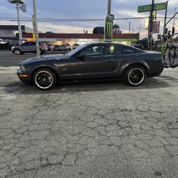 2007 GT Mustang V8 