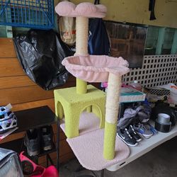 Cat House