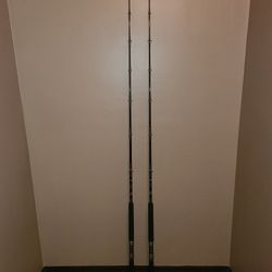 Seeker Custom MLB-30-PE Trollig/casting Rods