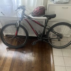Two Bikes 