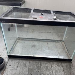 10 Gallon Tank With Lid