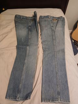 Cinch jeans bronze and green label