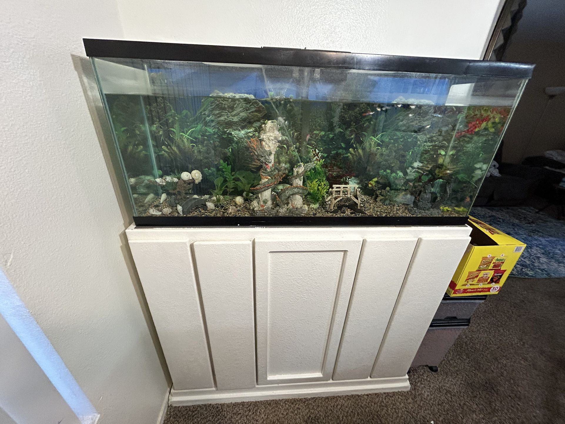 Fish Tank With Stand