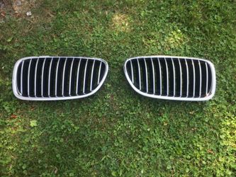 BMW Kidney grill (OEM)