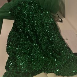 Little Mermaid Costume 