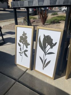 Gold-Framed Botanical Prints