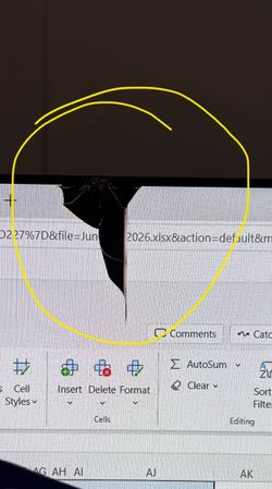 HP monitor