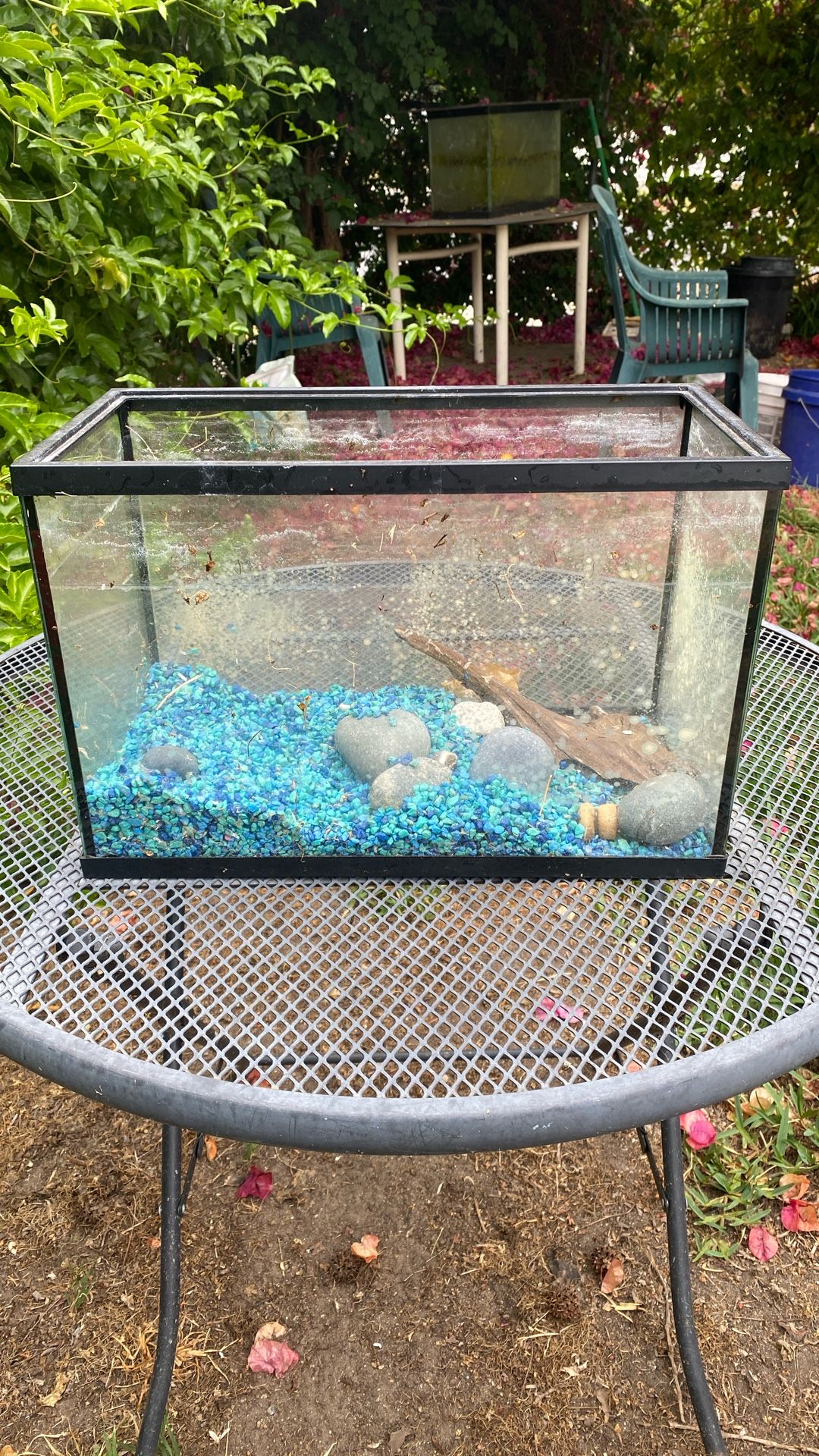 3.5 Gallon Fish Tank Aquarium