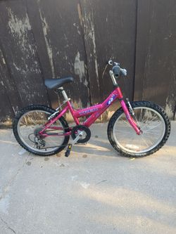 2000 Trek Mountain lion kids bike