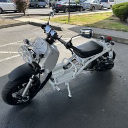 50cc Icebear Maddog